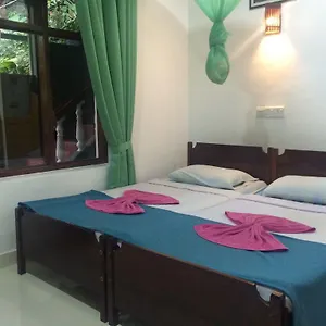 https://green-woods.negombohotels.net